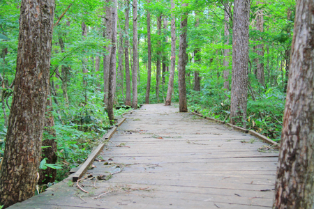 インデペンデンスボードウォーク